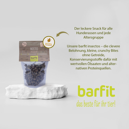 Barfit insectos mealworm
